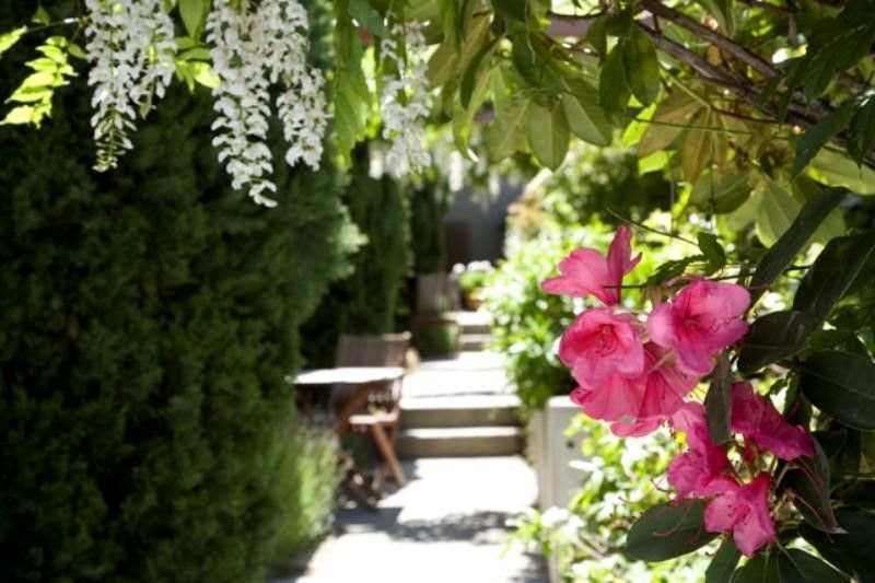 Outdoor Pictures 21