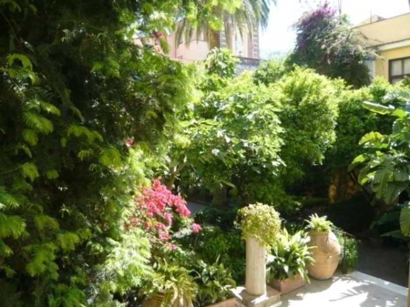 Outdoor Pictures 10