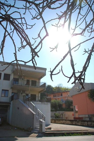 Outdoor Pictures 23