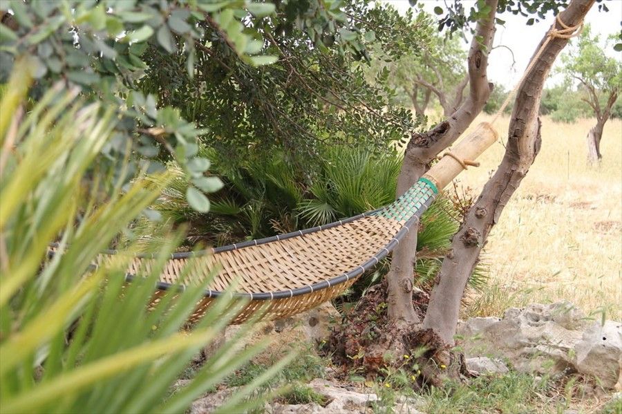 Outdoor Pictures 7
