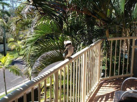 Outdoor Pictures 18