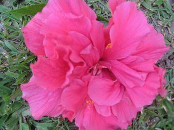 Outdoor Pictures 20
