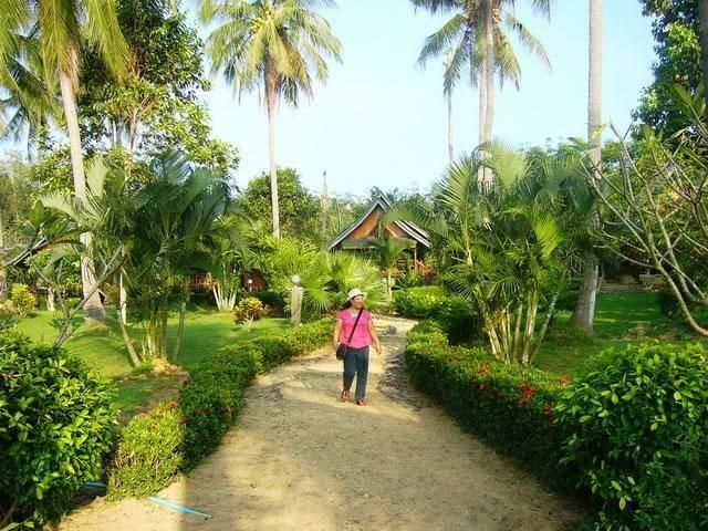 Outdoor Pictures 22
