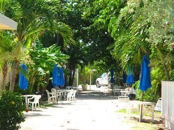 Outdoor Pictures 12