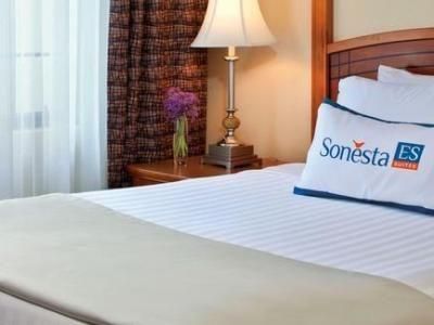 Sonesta ES Suites Detroit Auburn Hills