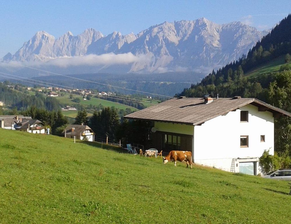 Outdoor Pictures 10
