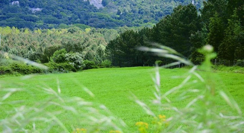 Outdoor Pictures 19