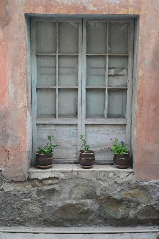 Outdoor Pictures 23