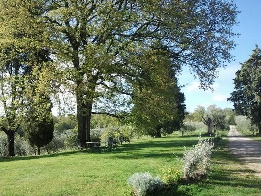 Outdoor Pictures 15