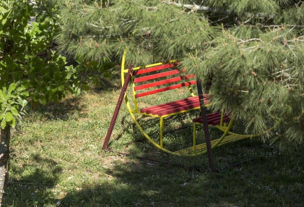 Outdoor Pictures 6