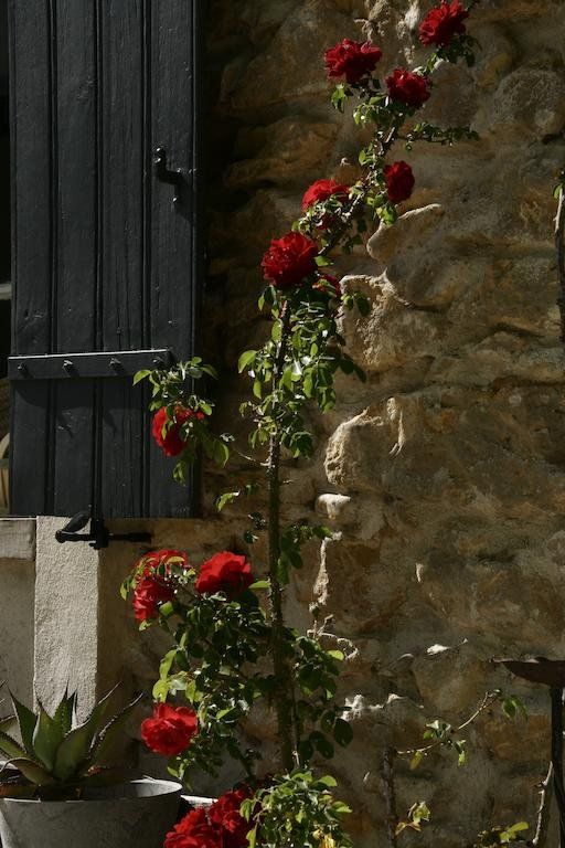 Outdoor Pictures 5