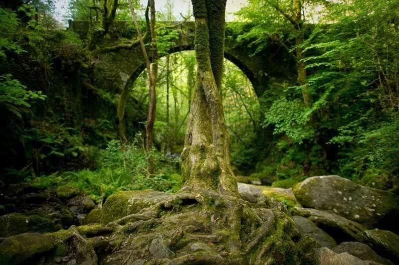 Outdoor Pictures 16