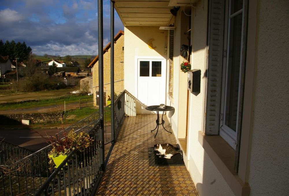Outdoor Pictures 9