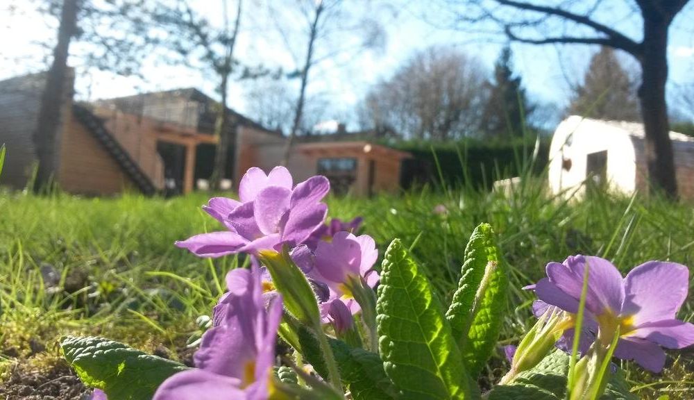 Outdoor Pictures 19