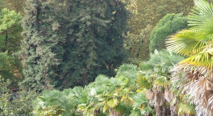 Outdoor Pictures 14