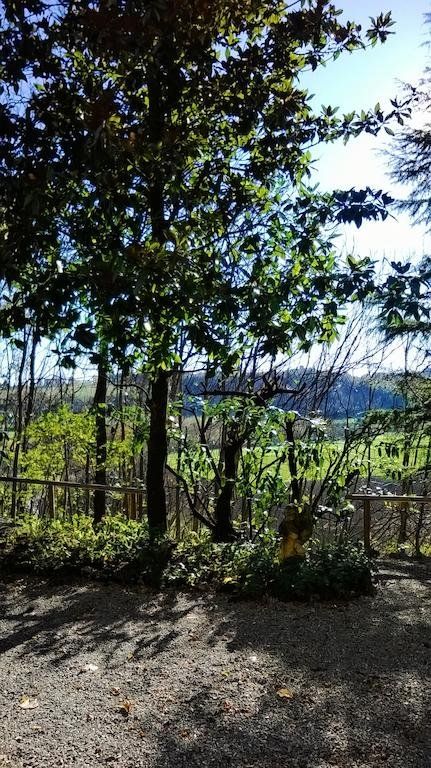 Outdoor Pictures 19