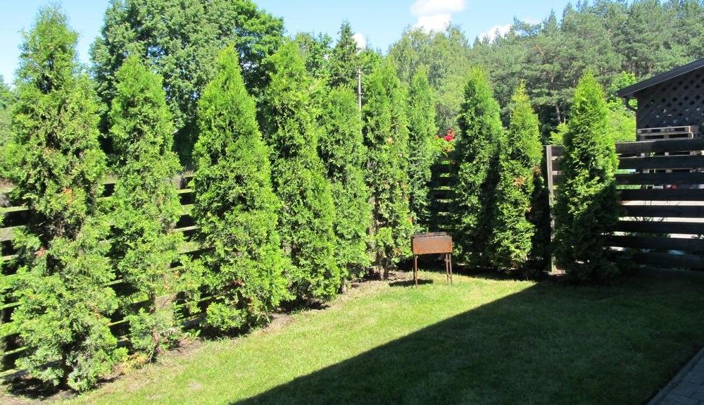 Outdoor Pictures 18