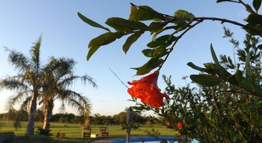 Outdoor Pictures 14