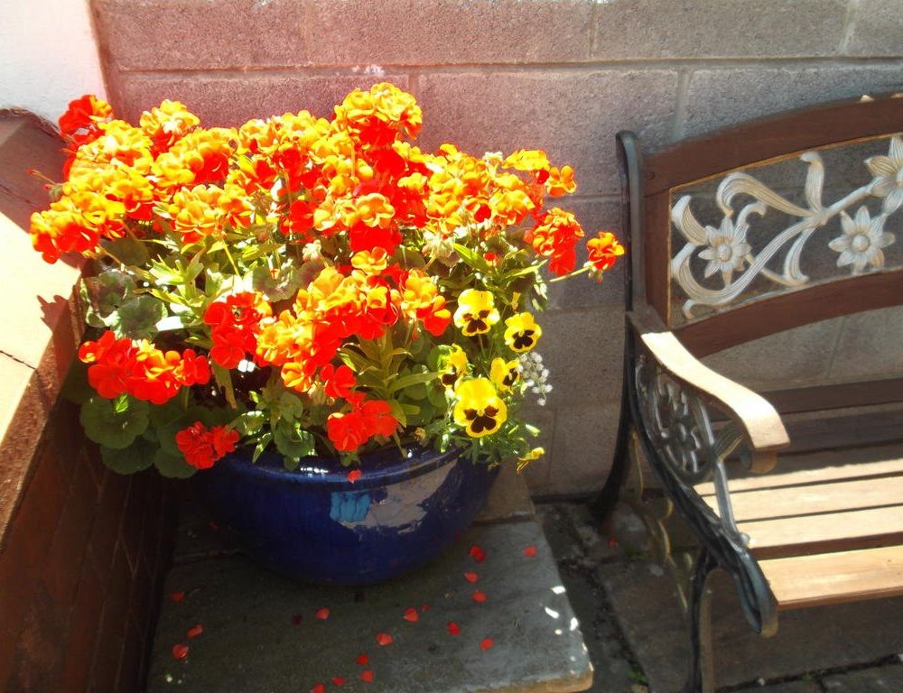Outdoor Pictures 15