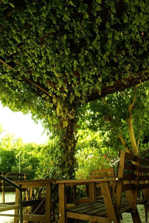 Outdoor Pictures 22