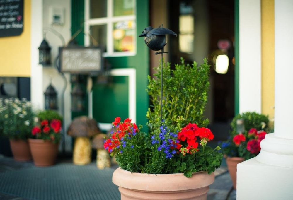 Outdoor Pictures 21