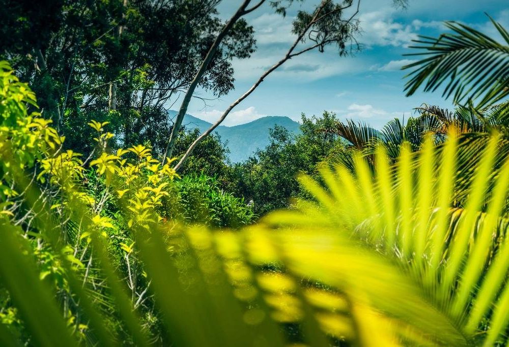 Outdoor Pictures 22