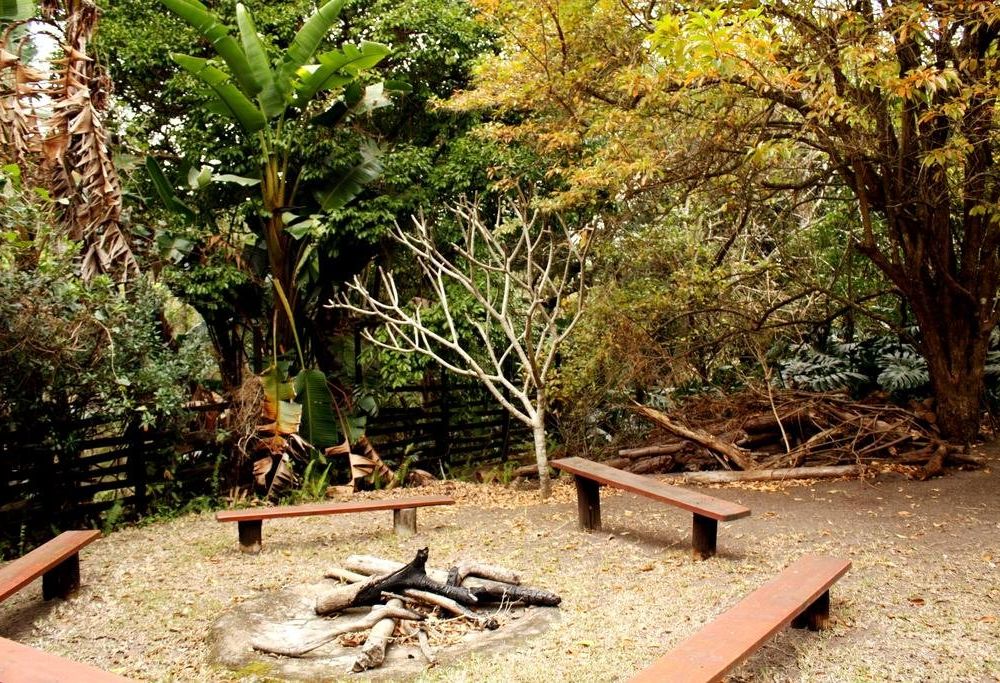 Outdoor Pictures 14