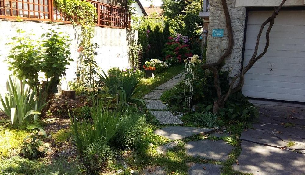 Outdoor Pictures 19