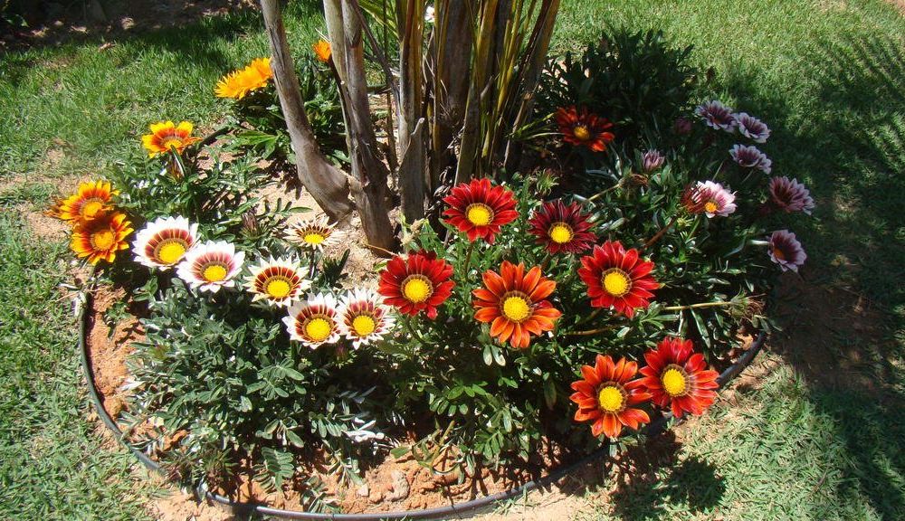 Outdoor Pictures 19