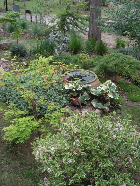Outdoor Pictures 17