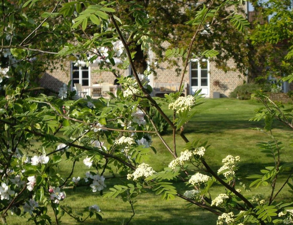 Outdoor Pictures 13