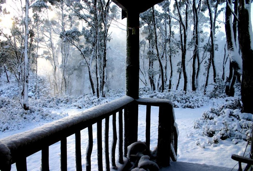 Outdoor Pictures 16