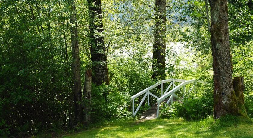 Outdoor Pictures 20