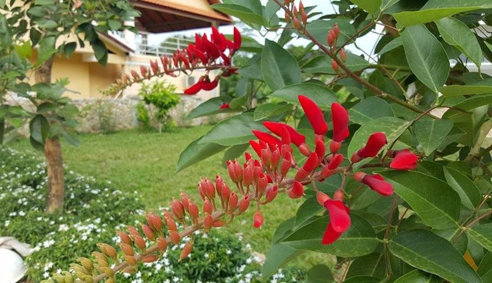 Outdoor Pictures 19