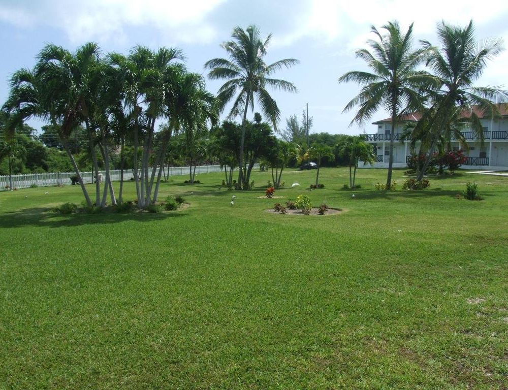 Outdoor Pictures 15