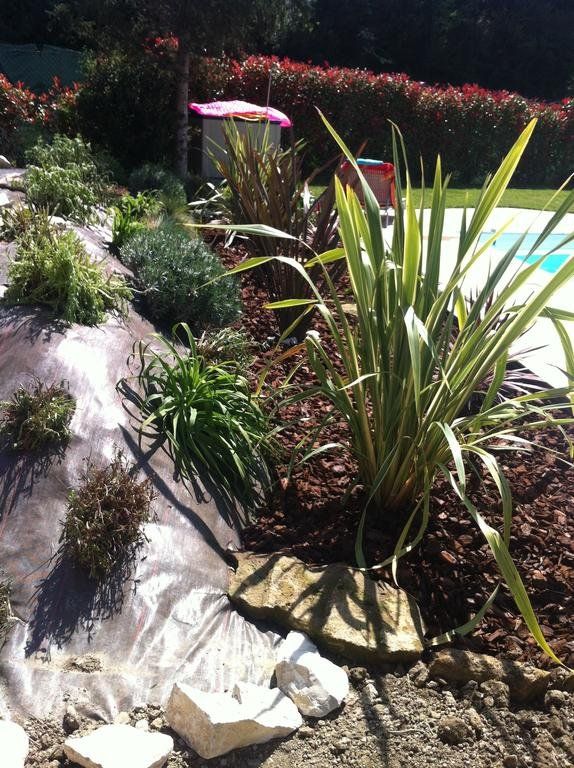 Outdoor Pictures 7