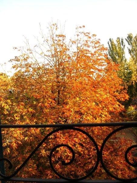 Outdoor Pictures 12