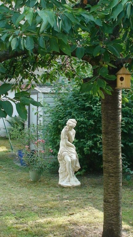 Outdoor Pictures 24