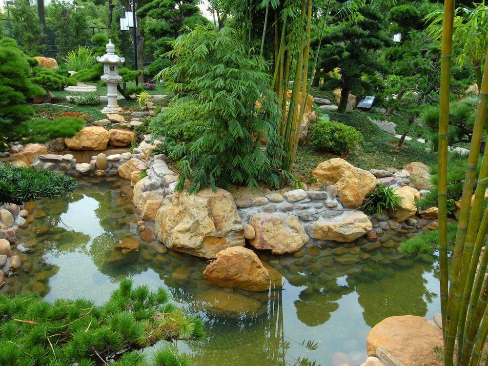 Outdoor Pictures 15
