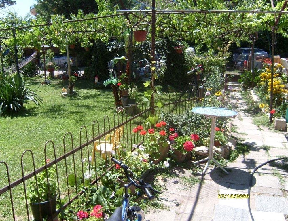 Outdoor Pictures 21