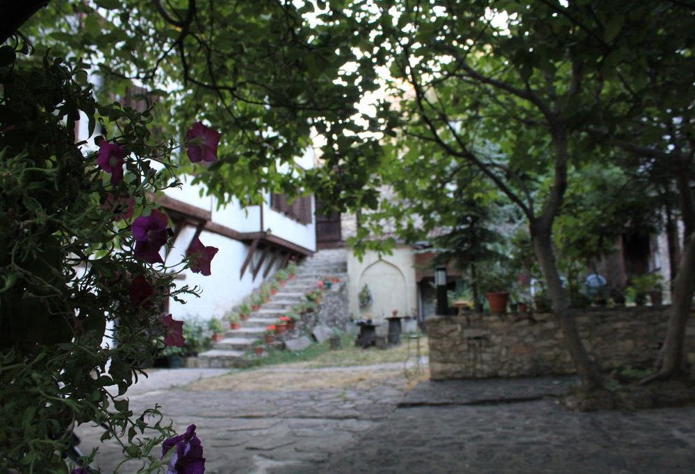 Outdoor Pictures 8