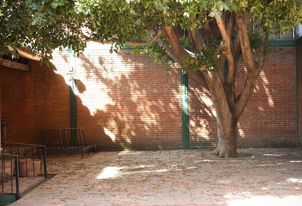 Outdoor Pictures 19