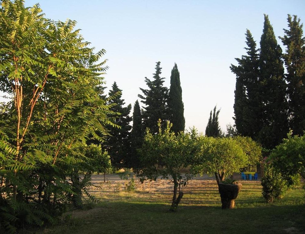 Outdoor Pictures 10