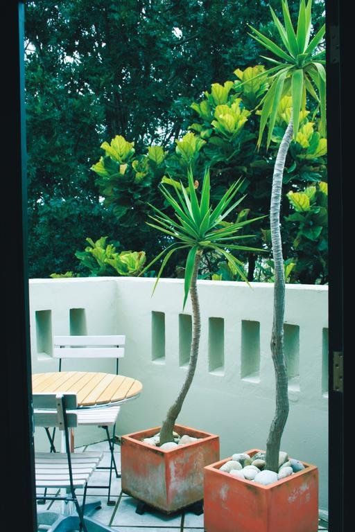 Outdoor Pictures 21