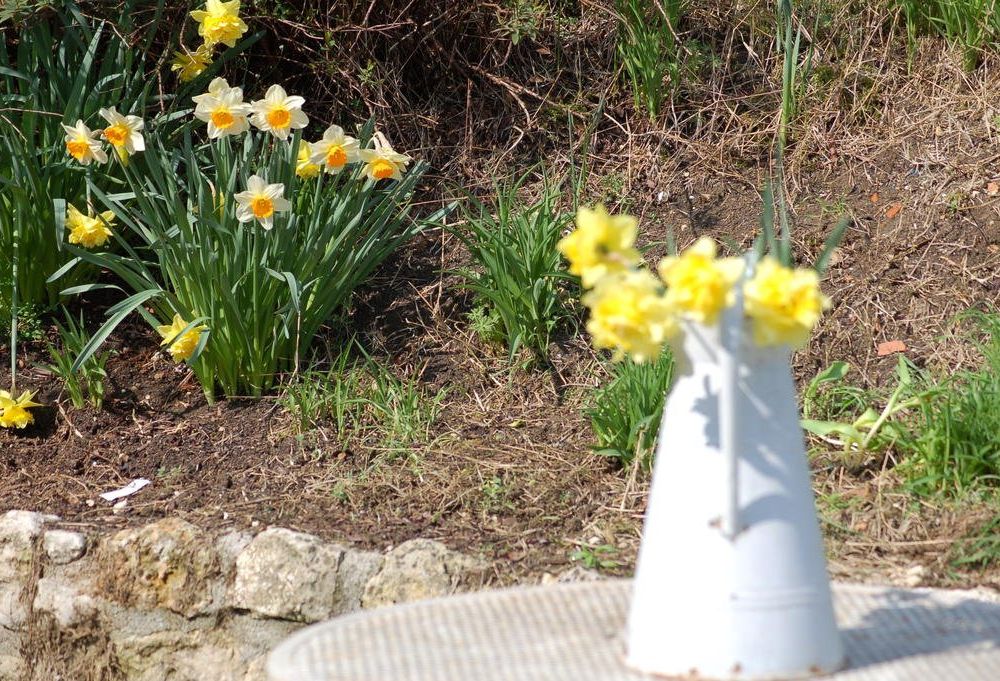 Outdoor Pictures 12
