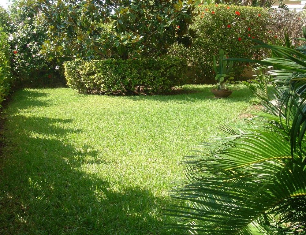 Outdoor Pictures 9