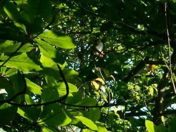 Outdoor Pictures 16