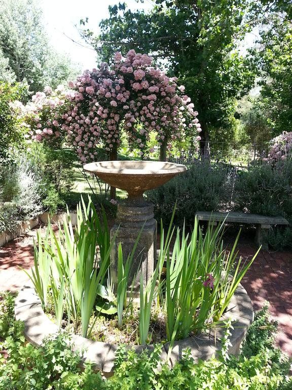 Outdoor Pictures 15