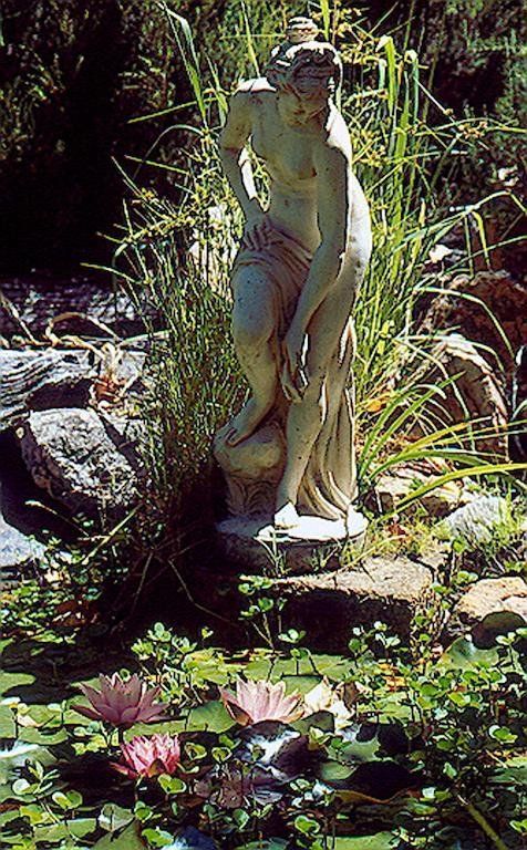 Outdoor Pictures 16