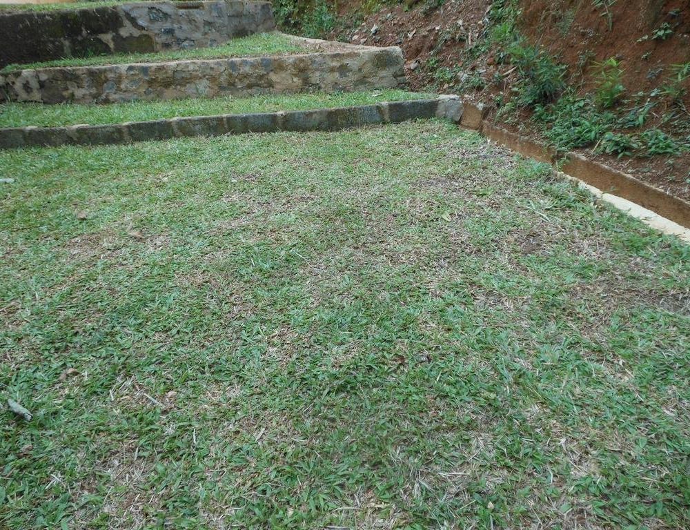 Outdoor Pictures 11